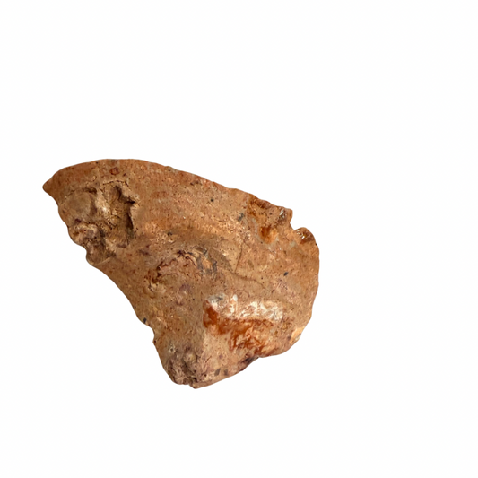 Brown rock or mineral sample on a white background