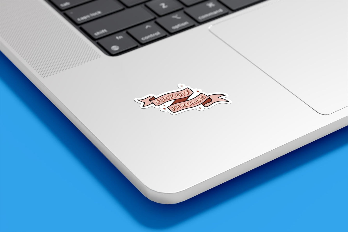 Fuck Off I'm Reading Vinyl Sticker
