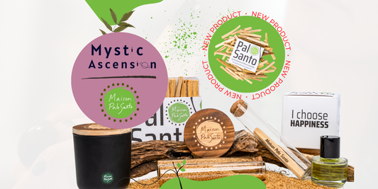 Beyond Fragrance: Uncovering the Soul of Palo Santo