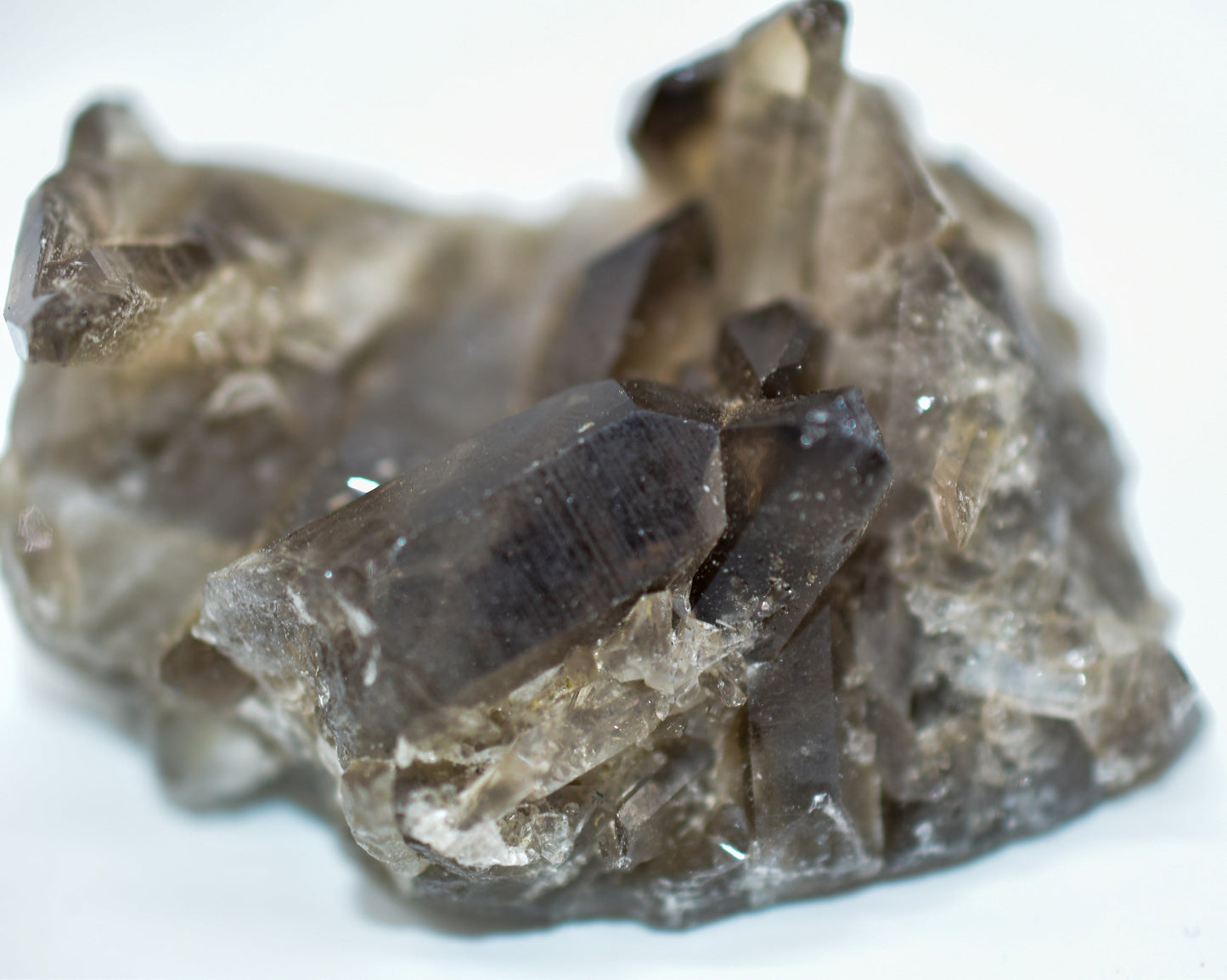 Smokey Quartz Clusters