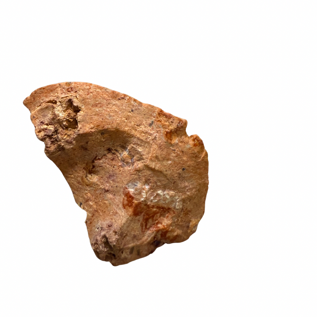 Brown rock or mineral sample on a white background for fire opal jewelry 