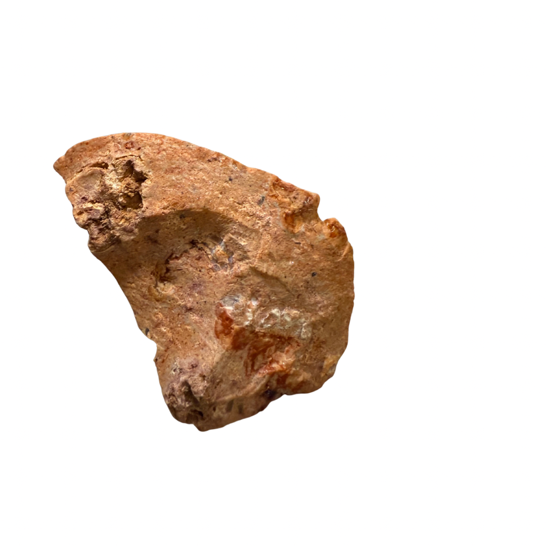 Orange rock or mineral sample on a white background