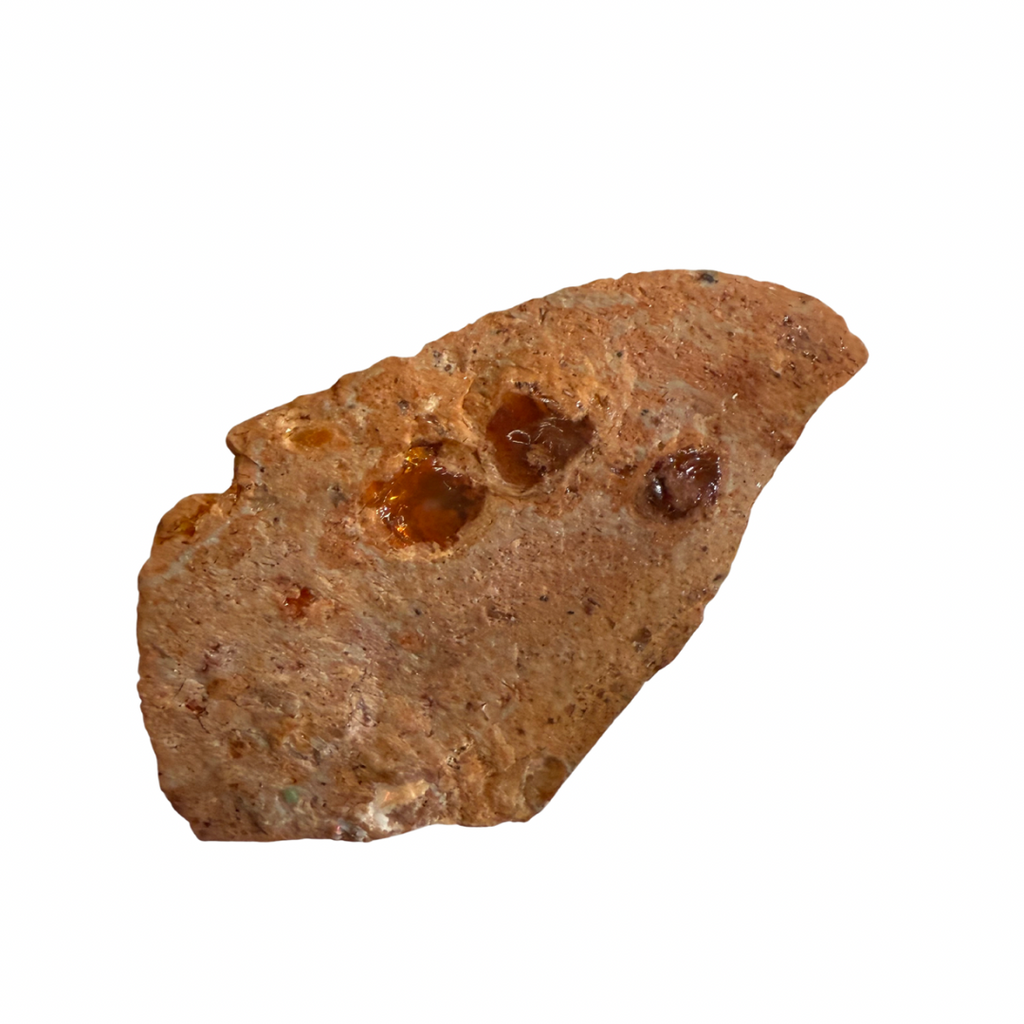 Brown rock with embedded opal minerals on a white background