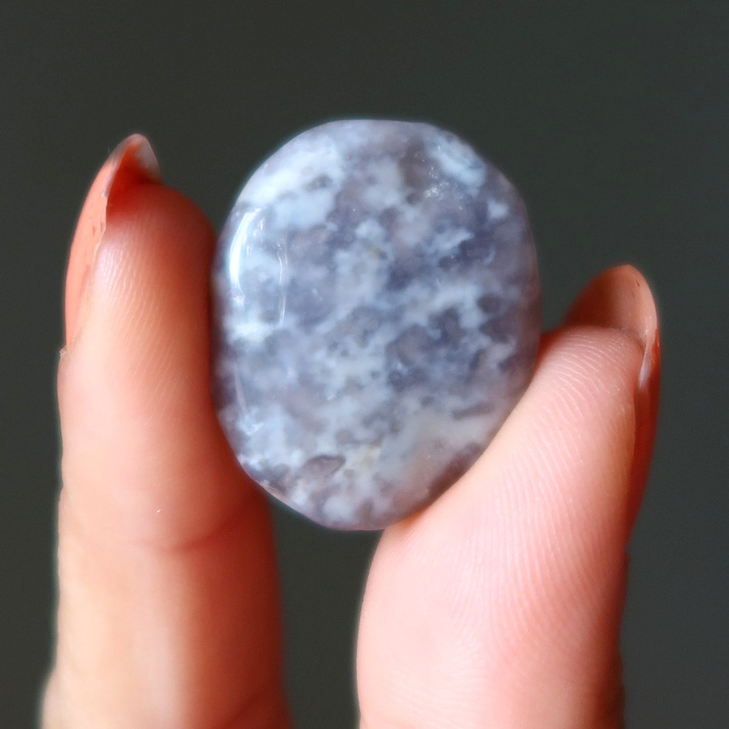 Jasper Grid Crystal Bundle Agate Cabochon Set of 16