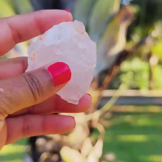Rose Quartz Crystal with Tree bakground