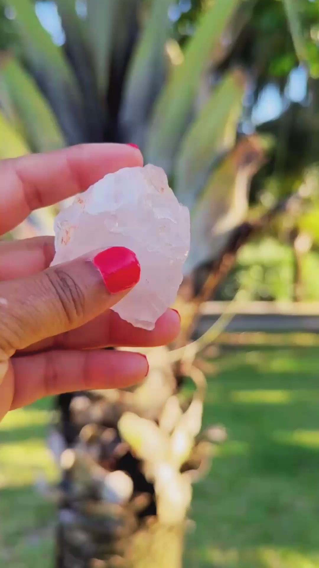 Rose Quartz Crystal with Tree bakground
